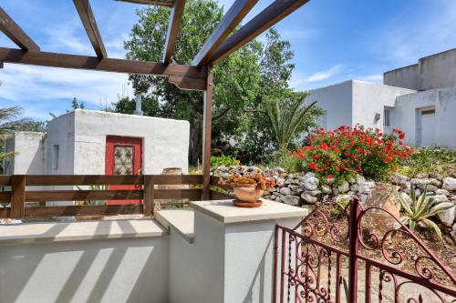 Κήπος έξω από το Mandarini House