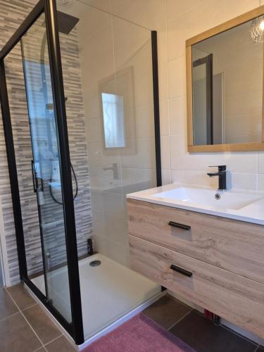 une salle de bain avec une douche, un lavabo et un miroir dans l'établissement Au fond du village, à Bassy