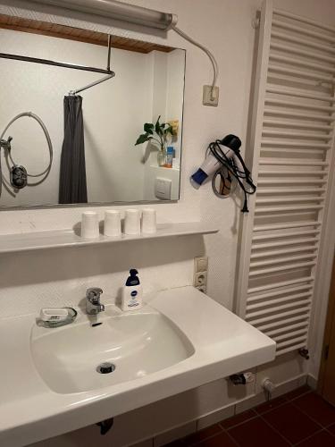 a bathroom with a white sink and a mirror at Ferienhof Westermann Waldblick in Lähden