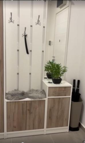 a cabinet with a potted plant on top of it at Apartman Agave in Trebinje
