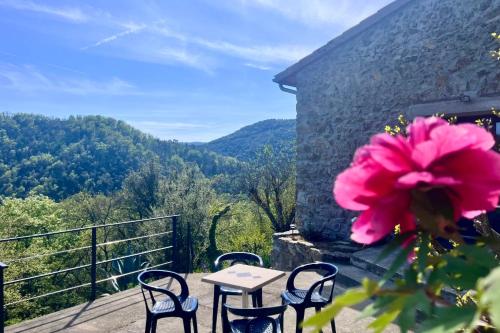 une table et des chaises sur un balcon avec une fleur rose dans l'établissement Blondel - Saint Jean de Muzols, à Saint-Jean-de-Muzols