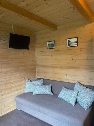 a room with a couch with pillows and a television at Apartamenty Gawędówka in Krościenko