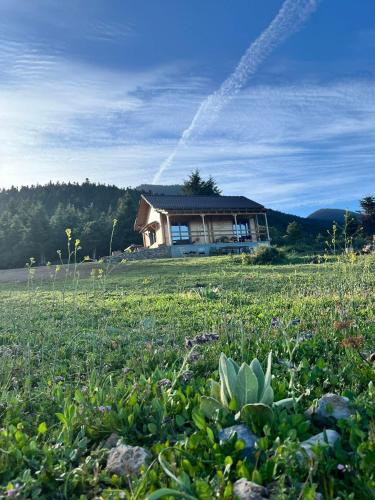 The Farmhouse
