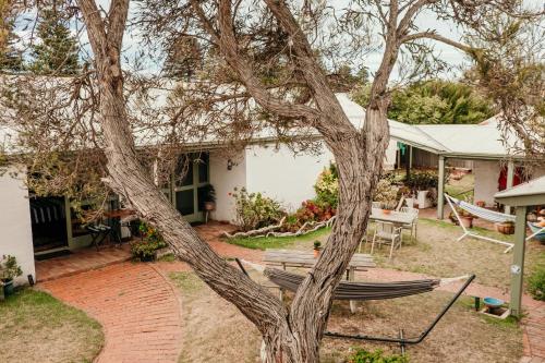 a yard with a tree and a bench at The Wandering Whale Port Fairy in Port Fairy