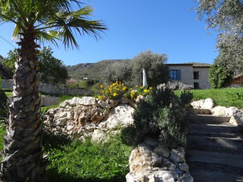 a palm tree and some rocks and a palm tree at Les 4 éléments in Tourrettes-sur-Loup