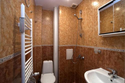 ソフィアにあるMarina Apartmentのバスルーム(トイレ、洗面台、シャワー付)