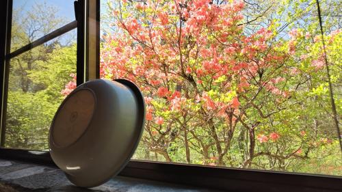 a window view of a tree with red leaves at フルブルーム in Nasu-yumoto