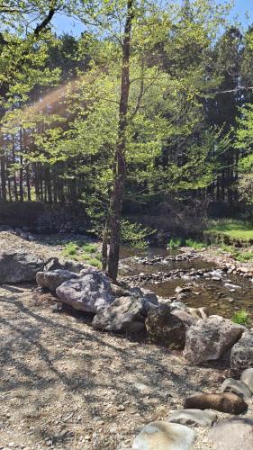 a group of rocks and a tree next to a creek at フルブルーム in Nasu-yumoto
