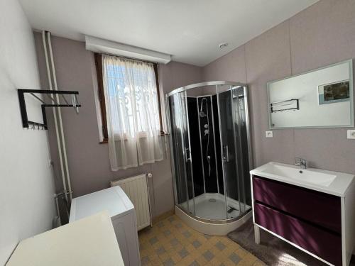 ein Badezimmer mit Dusche und Waschbecken in der Unterkunft Le nid d'Hirondelle in Vanault-les-Dames