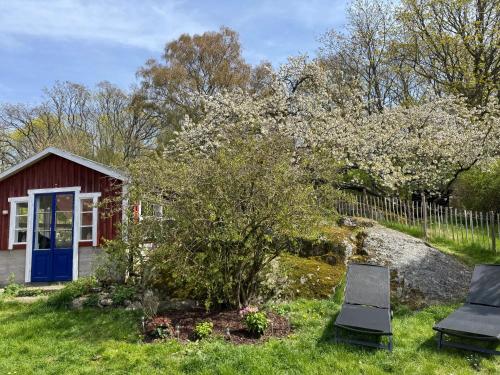 a red house with a blue door and two chairs at Ferienhaus Istaby in Sölvesborg