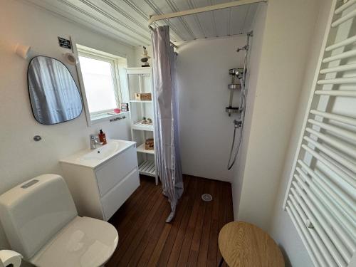 a bathroom with a toilet and a sink and a shower at Ferienhaus Istaby in Sölvesborg