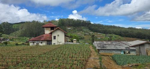 a farm with a building in a field of vines at The Vatican Villa in Nuwara Eliya