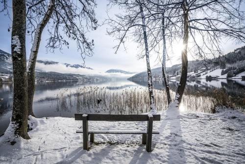a bench in the snow with a view of a lake at Frühstückspension Götzfried-Hof in Millstatt