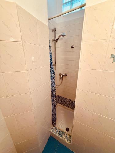 a shower in a bathroom with a tile wall at In centro dalla Maddy in Udine