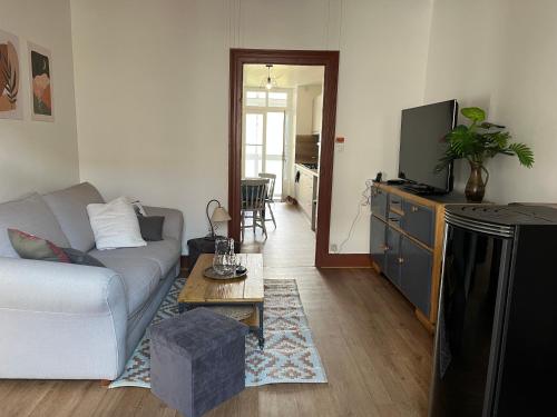 a living room with a couch and a tv at Hébergement Langogne in Langogne