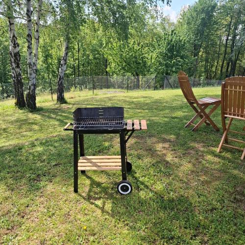 a barbecue grill on a picnic table in a park at Sumska vila Zorica in Gornji Milanovac