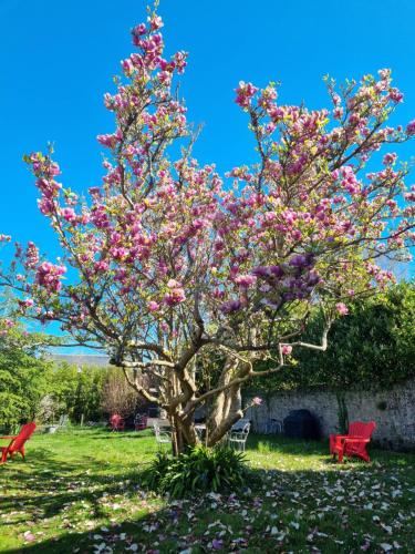 La Maison Bizienne Guérande - Chambres d'hôtes de charme