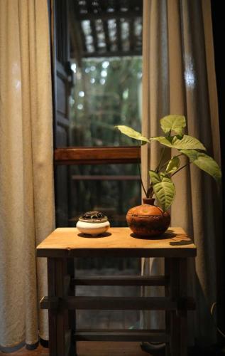 a plant sitting on a table next to a window at Yên homestay in Hoi An