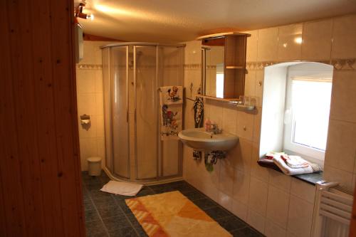 uma casa de banho com um chuveiro e um lavatório. em Ferienwohnung Buchholz em Warnitz
