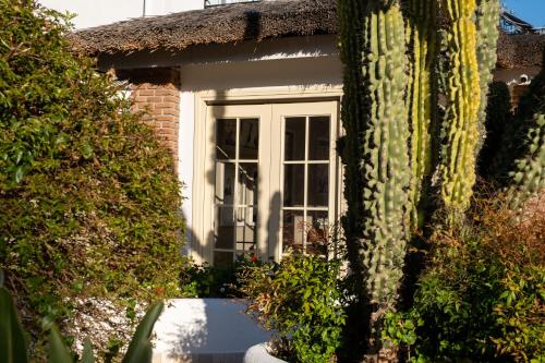 Κήπος έξω από το Pinehill Hotel & Suites