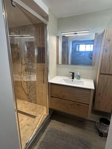 une salle de bain avec une douche et un lavabo et une douche dans l'établissement Superbe RDC terrasse centre ville clim wifi, à Saintes-Maries-de-la-Mer