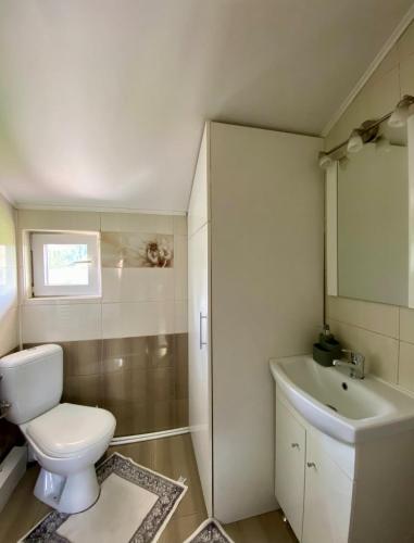 a bathroom with a toilet and a sink at Mini Vacanta La Munte in Zărneşti