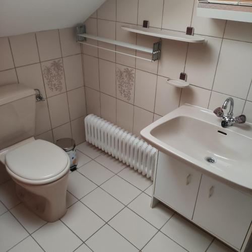 a bathroom with a toilet and a sink at Haus Maria Bodensdorf in Tratten