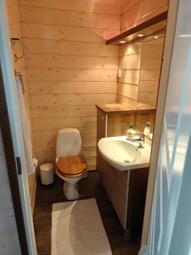 a small bathroom with a toilet and a sink at Air-conditioned holiday home Vutnusmaja at Iso-Syöte in Syöte