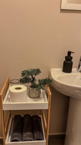 a bathroom with a sink and a plant on a shelf at The Ridge Modern Escape in Midrand