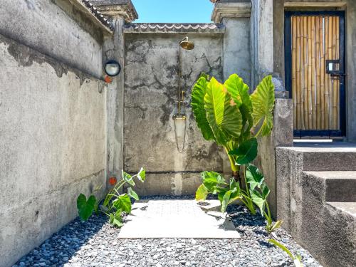 a plant in the corner of a building at Baia Nest LANAI Glamping in Open Space within Self-Service Villa Near the Beach, Pet Friendly with a Fee in Gubat
