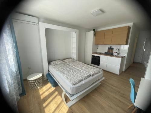 The Mural Studio Apartment in Rijeka