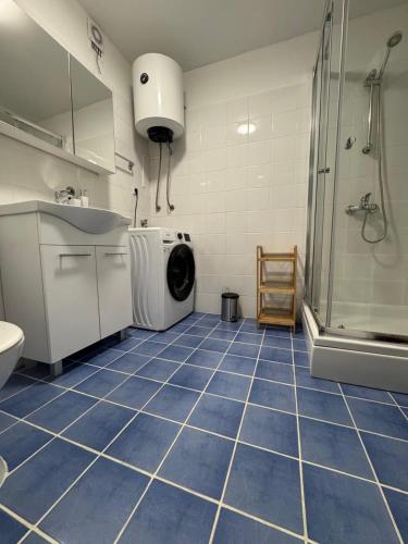 The Mural Studio Apartment in Rijeka