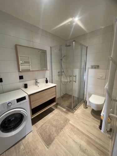 La salle de bains est pourvue d'un lave-linge et d'une douche. dans l'établissement Cozy & modern apartment, à Samoëns