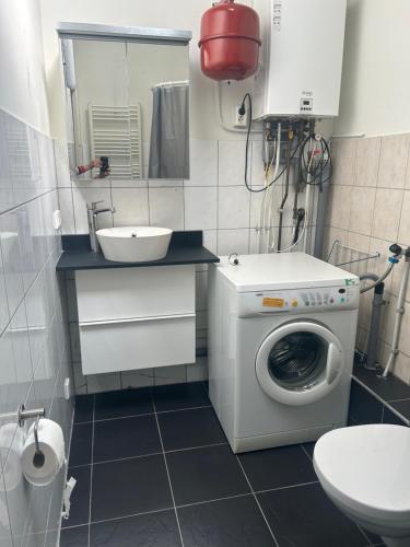 a small bathroom with a washing machine and a sink at Zonneoord in Ede