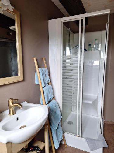 a bathroom with a sink and a shower at Chambre d'hôte au Grenier d'Abondance in Niderviller