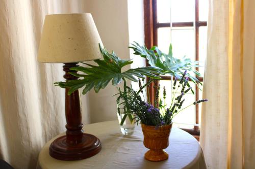 a table with a lamp and a potted plant on it at Soli Deo Gloria in McGregor