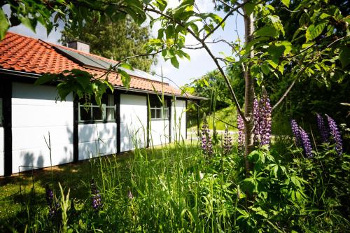 a garden with purple flowers in front of a house at Molslaboratoriet - Lille Studenterhus in Ebeltoft