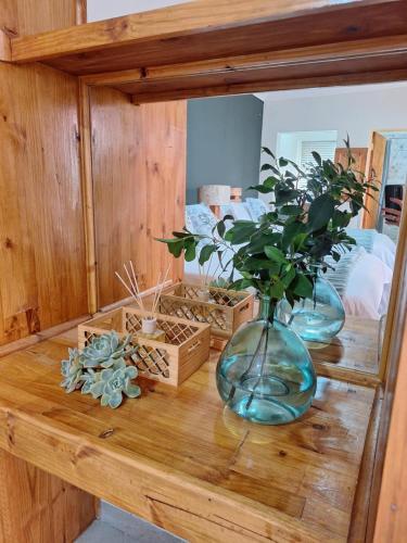 a wooden table with two vases and plants on it at Fraai Maraai Self Catering Apartments in Groblersdal