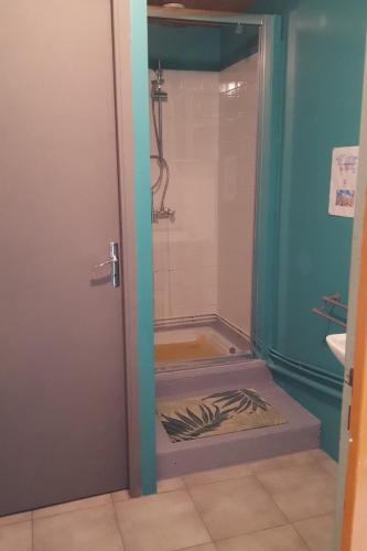 La salle de bains est pourvue d'une douche avec une porte ouverte. dans l'établissement Gîte à la campagne proche du littoral, à Martinet