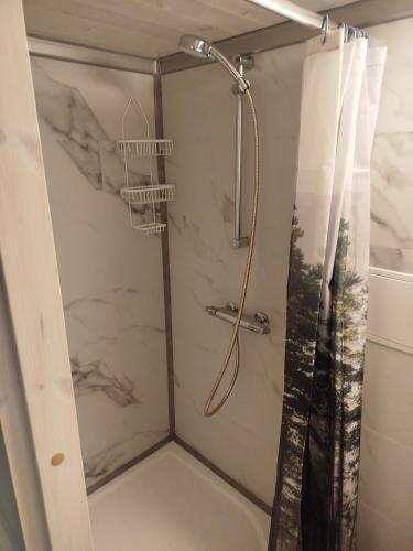 a bathroom with a shower with a shower curtain at Reinholdi metsamaja in Jabara