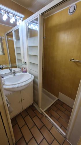 une salle de bain avec un lavabo et une douche dans l'établissement Chalet de Moulaprat Aste-Béon près de Laruns et Gourette, à Aste-Béon