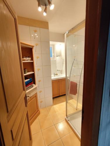 une salle de bain avec douche et lavabo dans l'établissement Maison cosy au cœur de la Vallée des Lacs Xonrupt, à Xonrupt-Longemer
