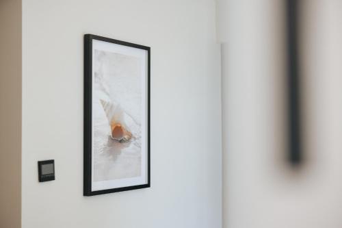 a framed picture of a bird on a wall at Odysseia Hotel Kapetanios in Limassol