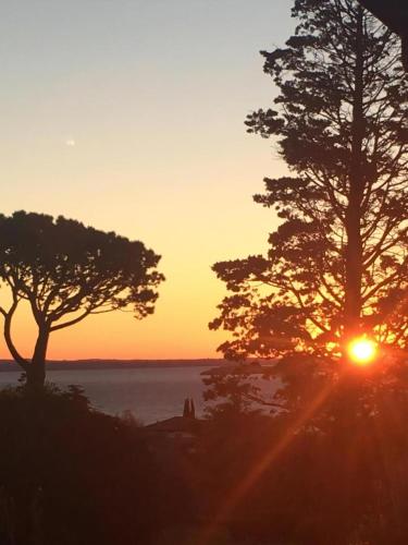 a sunset with two trees and a body of water at Wohnung Mit Privatem Garten Und Schöner Aussicht in Moniga