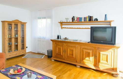 TV a/nebo společenská místnost v ubytování Ferienwohnung direkt am Rhein in Neuwied bei Koblenz