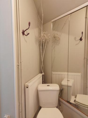 a bathroom with a toilet and a mirror at Chambres d'hôtes Christa in Saint-Pair-sur-Mer