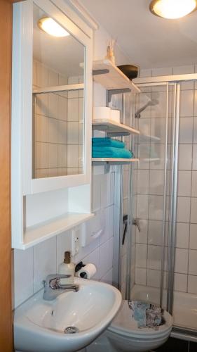 a bathroom with a sink and a shower at Apartment Rietheim in Rietheim-Weilheim