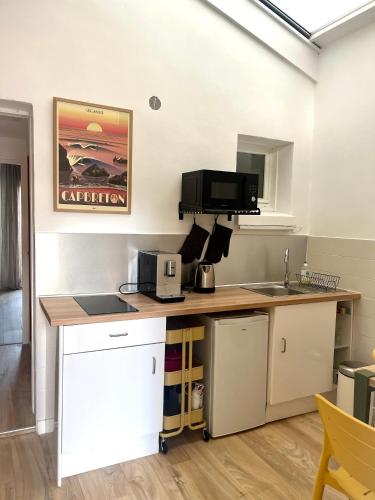 une cuisine avec un comptoir avec un évier et un micro-ondes dans l'établissement T2 cosy proche golf et plage, à Capbreton