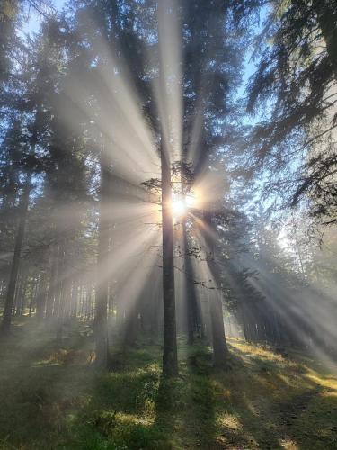 Příroda nedaleko apartmánu