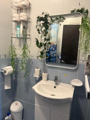 a bathroom with a sink and a mirror at Apartament Karina in Dudu